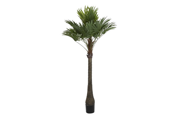 Palmera Artificial Trachycarpus Realista 205 cm - Imagen 3