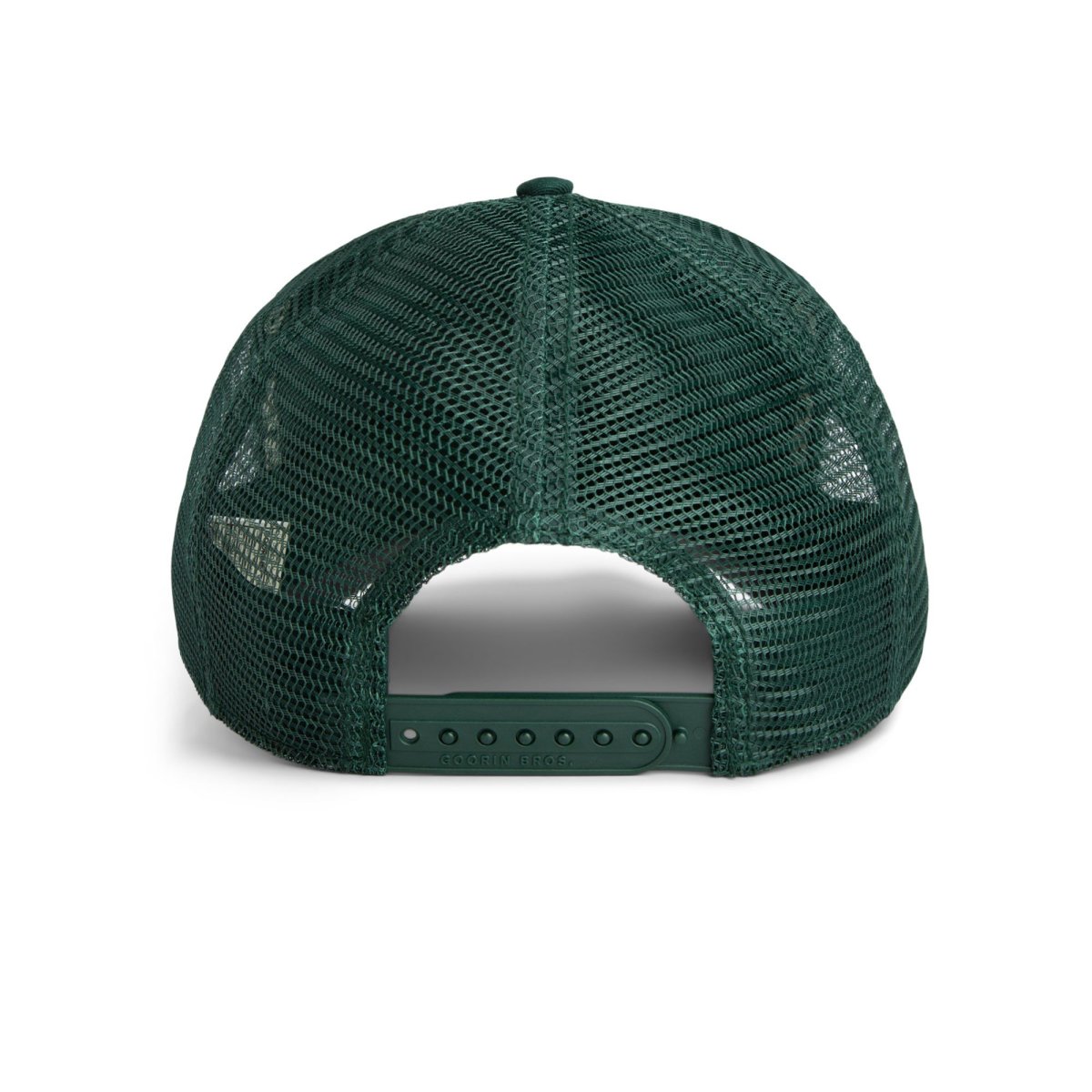 Gorra the homie pigeon - Imagen 8