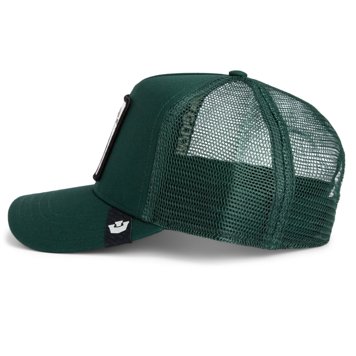 Gorra the homie pigeon - Imagen 6