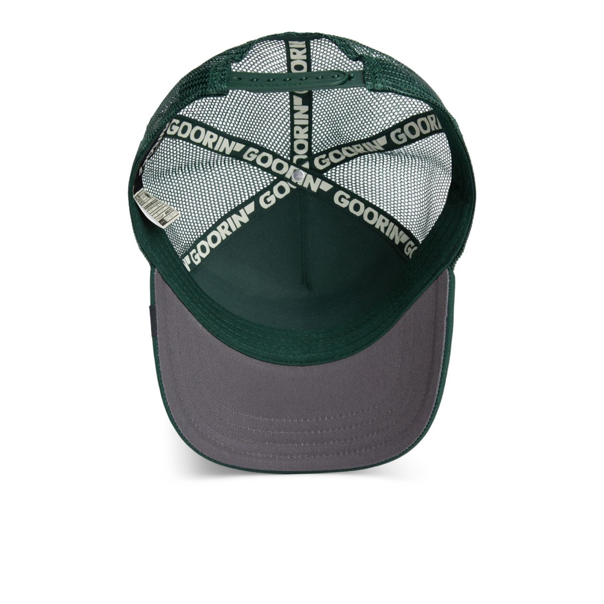 Gorra the homie pigeon - Imagen 7