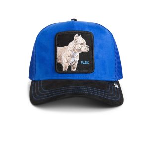 Gorra suede pitbull