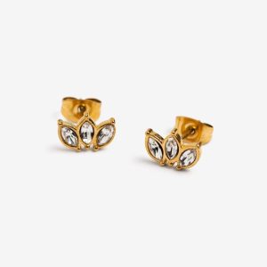Pendientes hojas brillo