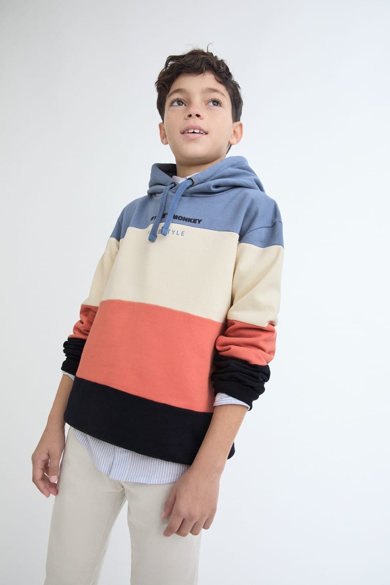 Sudadera niño Street Monkey bloques 4 a 16 años – Ref. 365013 - Imagen 2