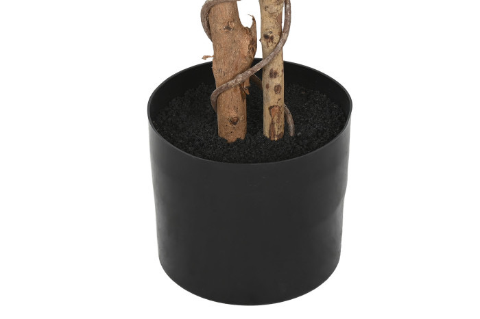 Árbol ficus polietileno brillo (75 cm) - Imagen 5