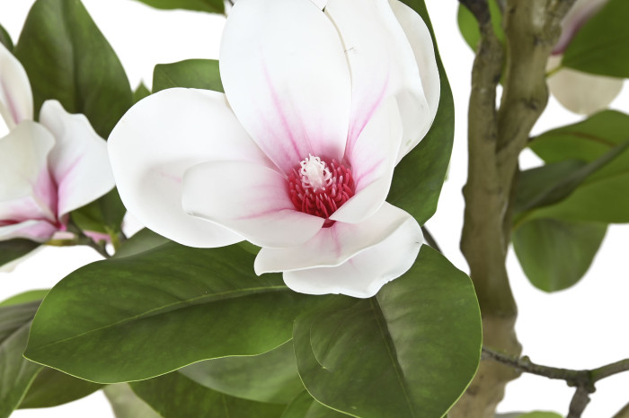 Árbol de Magnolio Artificial con Flores Blancas - Imagen 3