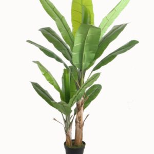 Planta Artificial Musa Verde de 200 cm