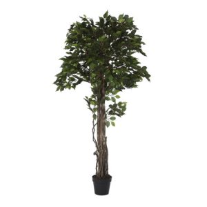 Ficus Artificial Higuera de Bengala con Tronco Trenzado 180 cm