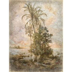 Delta y Garzas