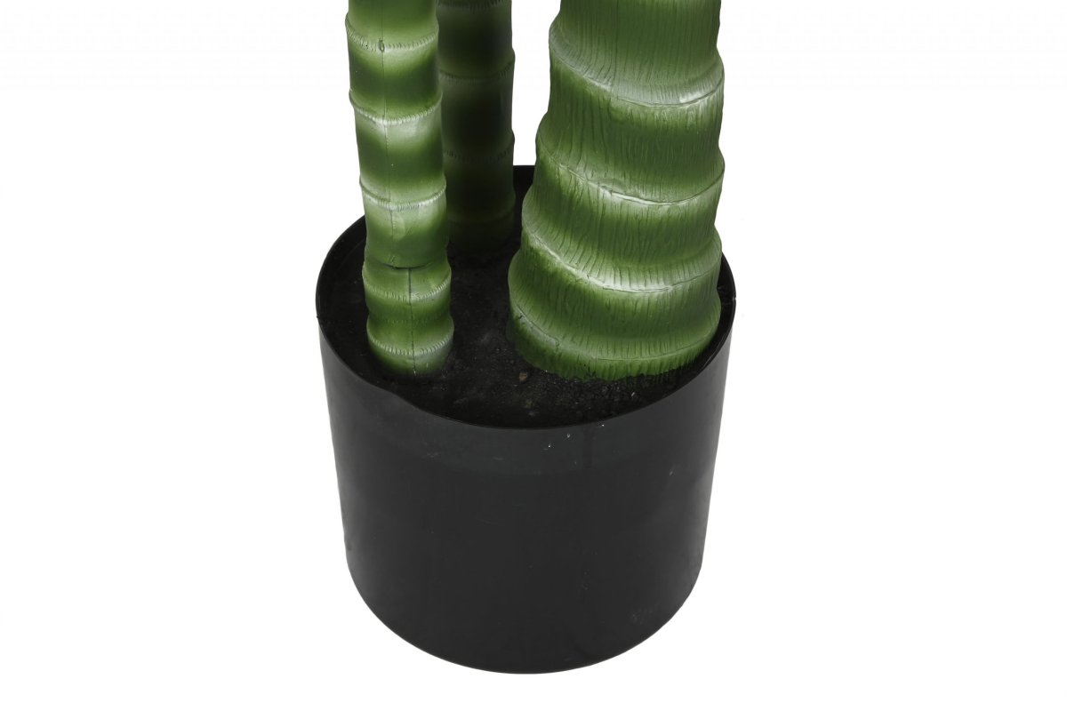 Palmera Artificial Grande de Polietileno con Base de Cemento - Imagen 6