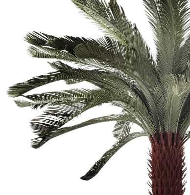 Palmera Artificial Grande de PE con Tronco Texturizado - Imagen 3