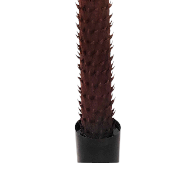 Palmera Artificial Grande de PE con Tronco Texturizado - Imagen 4