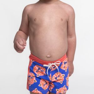 BOXER