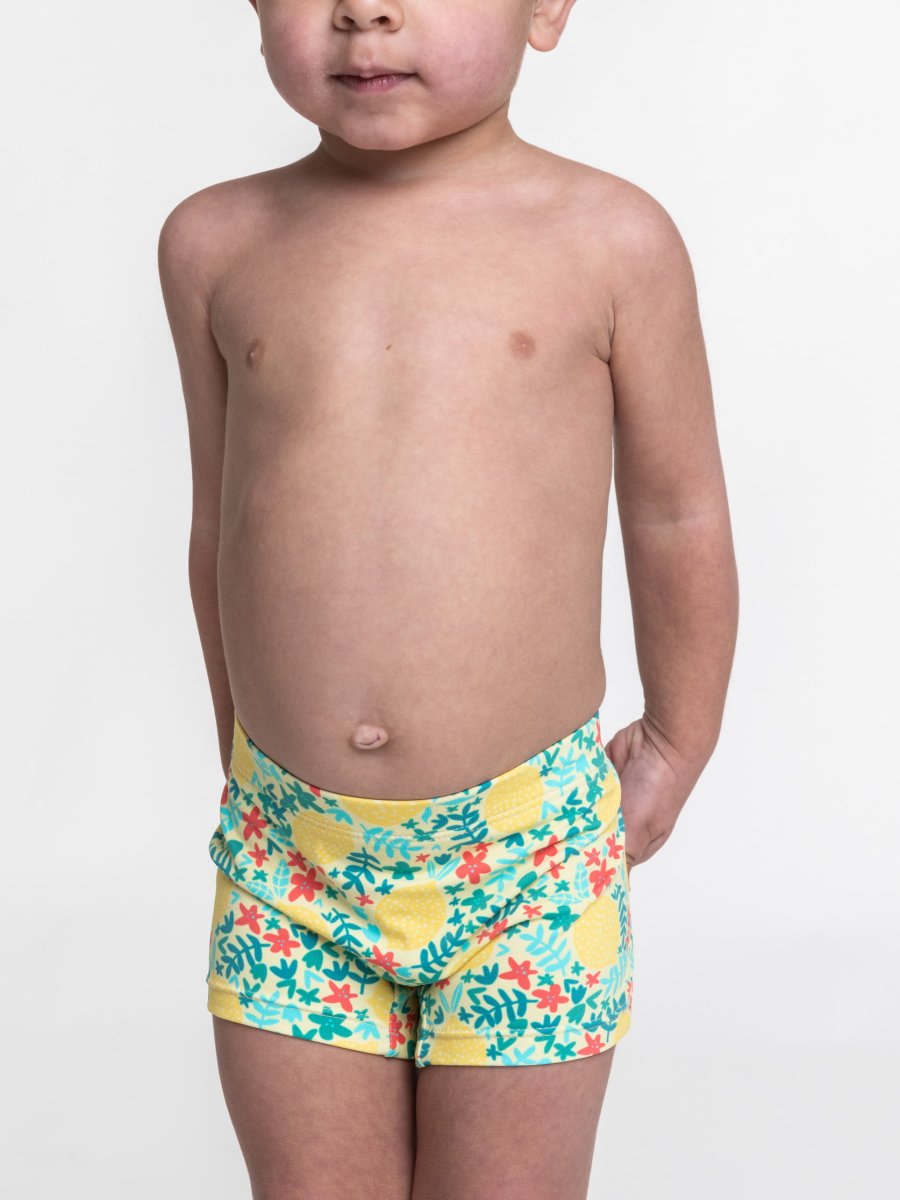 BOXER - Imagen 2