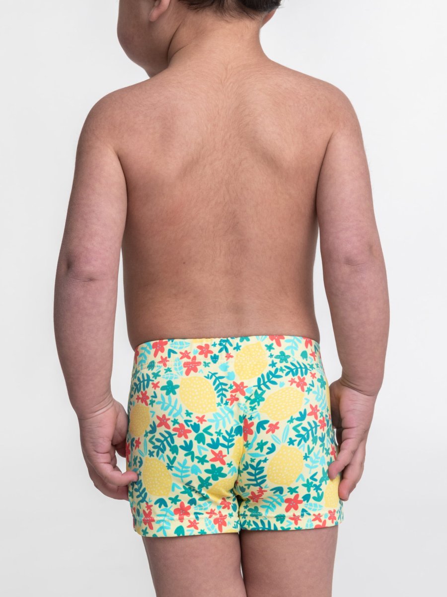 BOXER - Imagen 3