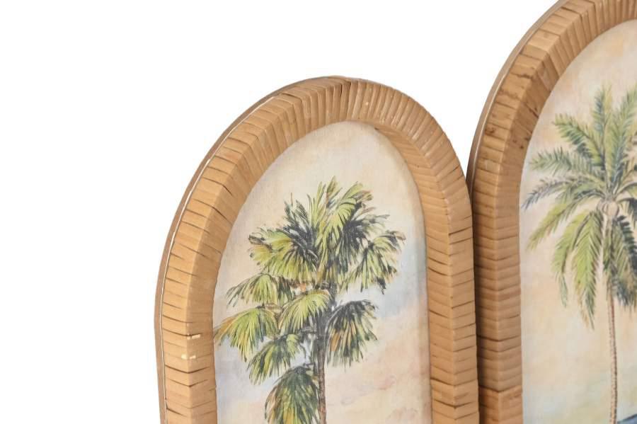 Cuadro Cristal Ratan Palmera CU-218482 - Imagen 4