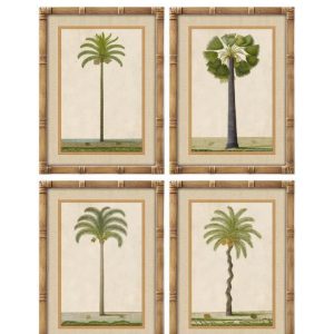 Set 4 Cuadros Botánicos de Palmeras con Marco de Bambú y Cristal