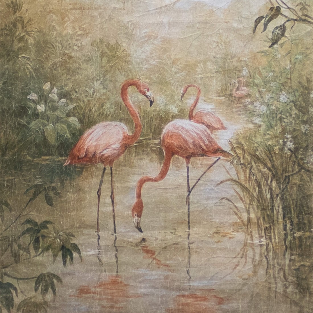 Flamencos Rosados - Imagen 3