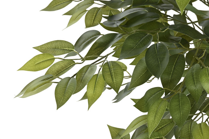 Árbol ficus polietileno brillo (75 cm) - Imagen 3