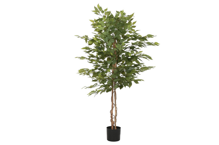 Árbol ficus polietileno brillo (75 cm) - Imagen 2