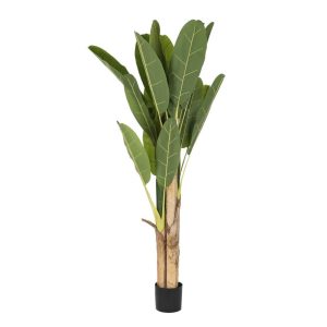 Palmera Bananera Artificial de Poliéster y PP 200 cm