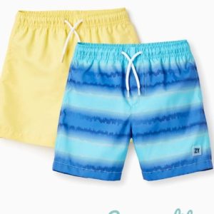 Pack de 2 bañadores Zippy